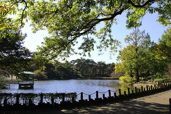 大宮公園